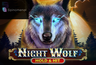 Night Wolf - Hold & Hit